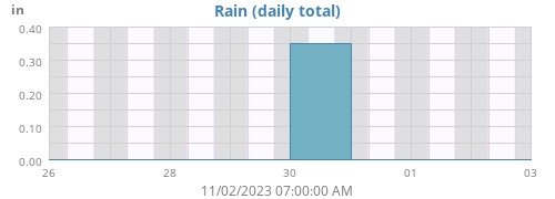Rain